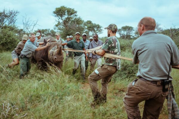 Chapman-Freeborn-Private-Jet-Charter-In-South-Africa