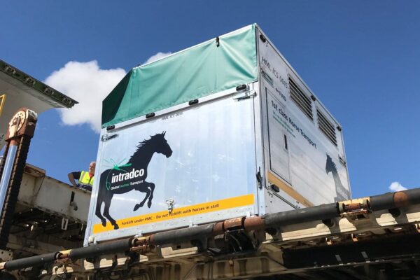 Equine-and-animal-transport-chapman-freeborn