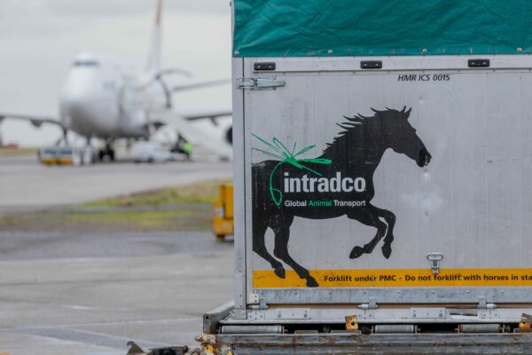 Intradco-Chapman-Freeborn